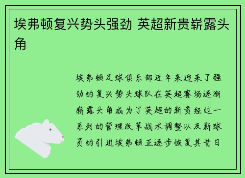埃弗顿复兴势头强劲 英超新贵崭露头角